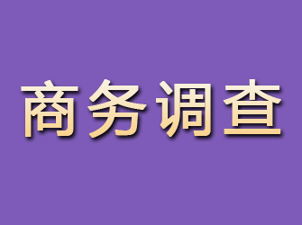 新疆商务调查